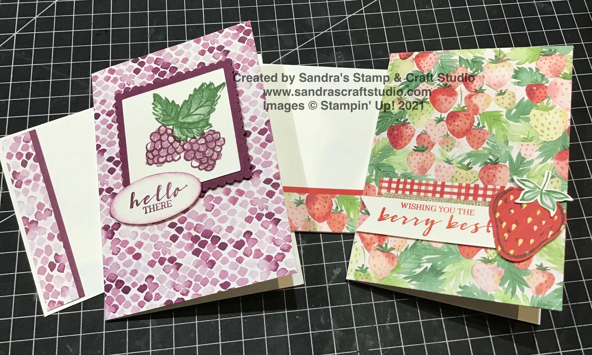 STAMP ‘N HOP – Sale-A-Bration and Mini Catalogue 2021