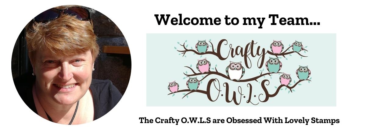 Team Crafty O.W.L.S. Banner